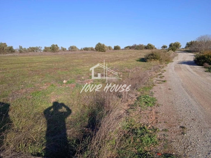 (For Sale) Land Agricultural Land  || Voiotia/Thespies - 5.000 Sq.m, 20.000€ 